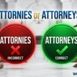 attornies or attorneys