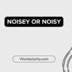 Noisey or Noisy