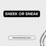 Sneek or Sneak