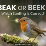 Beak or Beek