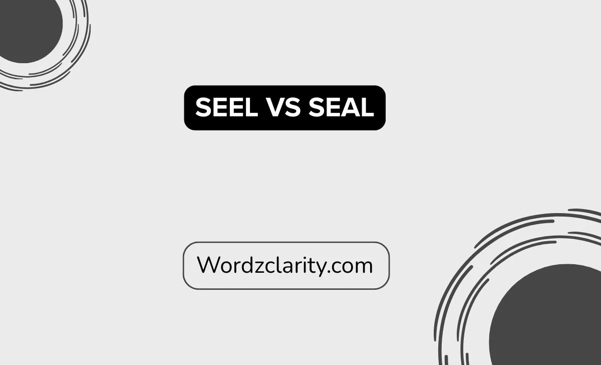 Seel vs Seal